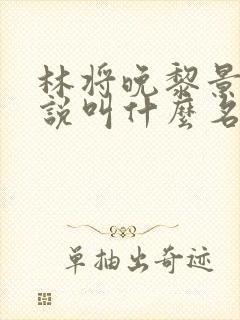 林将晚黎景珩小说叫什么名字封面