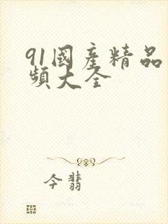 91国产精品视频大全