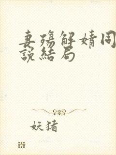 妻殇解婧同人小说结局
