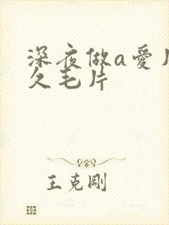 深夜做a爱片久久毛片