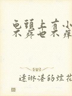 龟头上有小疙瘩不疼也不痒封面