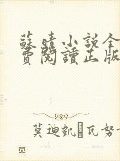 苏晴小说全文免费阅读正版无弹窗封面