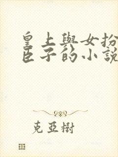 皇上与女扮男装臣子的小说