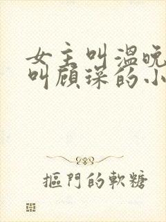女主叫温晚男主叫顾琛的小说