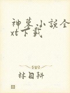 神墓小说全文txt下载