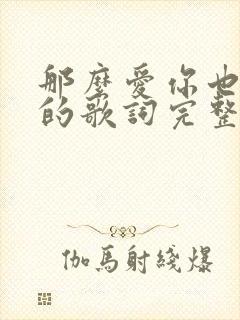 那么爱你也没用的歌词完整版