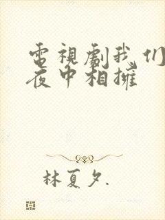 电视剧我们在黑夜中相拥