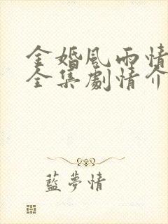 金婚风雨情免费全集剧情介绍