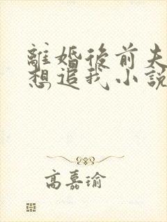 离婚后前夫总是想追我小说在线阅读