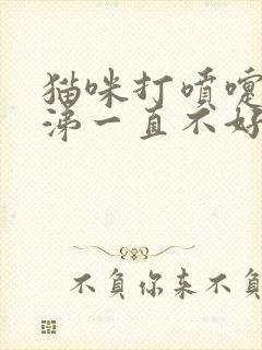 猫咪打喷嚏流鼻涕一直不好怎么办