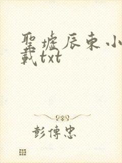 圣墟辰东小说下载txt封面