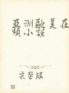 亚洲欧美在线视频小说