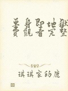 单身即地狱4免费观看完整版高清封面