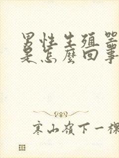 男性生殖器裂口是怎么回事