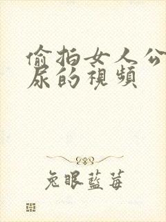 偷拍女人公厕尿尿的视频