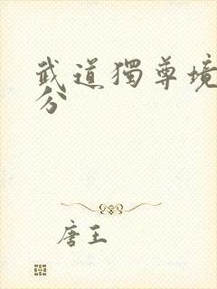 武道独尊境界划分