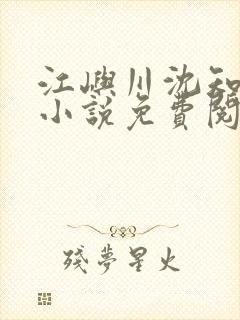 江屿川沈知意的小说免费阅读下载