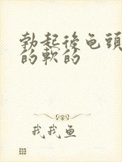 勃起后龟头是硬的软的封面