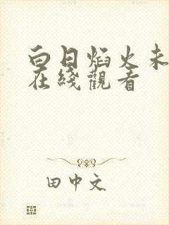 白日焰火未删减在线观看