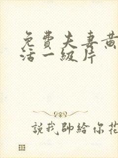 免费夫妻黄色生活一级片封面