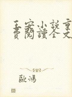 王安小说重生免费阅读全文封面