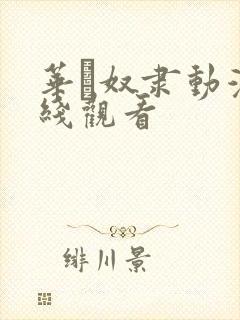 华·奴隶动漫在线观看