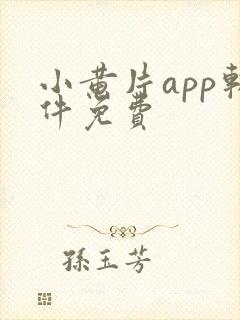 小黄片app软件免费