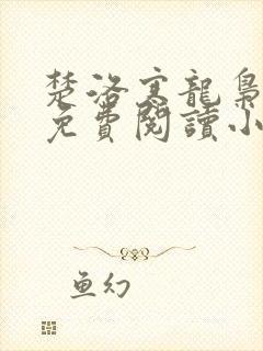 楚洛寒龙枭小说免费阅读小说名字封面