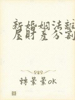 新婚姻法离婚房屋财产分割