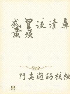 感冒流清鼻涕咳黄痰