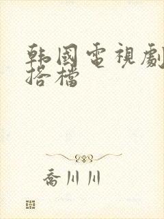 韩国电视剧完美搭档