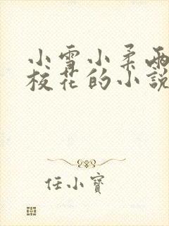 小雪小柔两个大校花的小说免费阅读封面