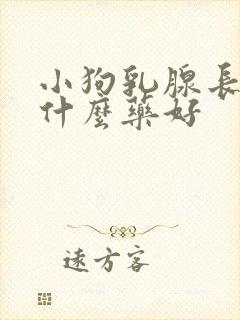 小狗乳腺长瘤吃什么药好