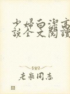 少妇白洁高义小说全文阅读封面