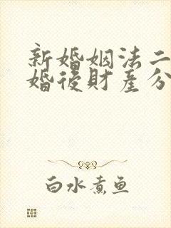 新婚姻法二婚离婚后财产分配
