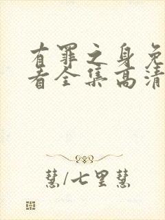 有罪之身免费观看全集高清在线播放