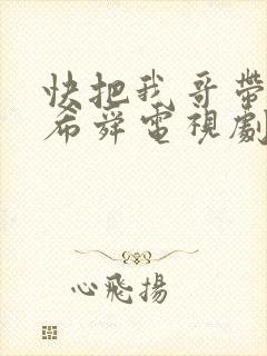 快把我哥带走曾希舜电视剧