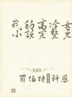 我的高冷女总裁小说完整免费封面