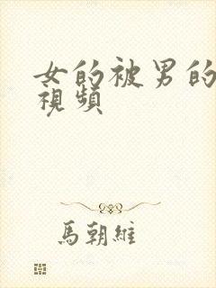 女的被男的艹的视频