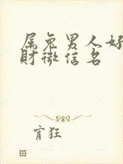 属兔男人好运旺财微信名