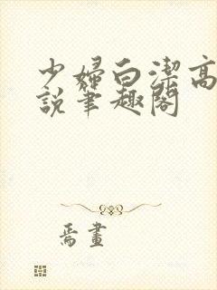 少妇白洁高义小说笔趣阁封面