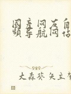 国产网友自拍视频导航网站在线