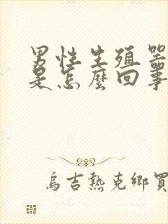 男性生殖器痒痒是怎么回事