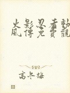 火影忍者动漫疾风传免费观看