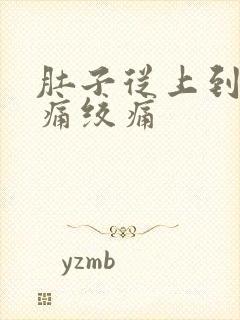 肚子从上到下阵痛绞痛