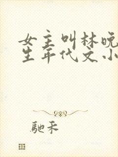 女主叫林晚的重生年代文小说