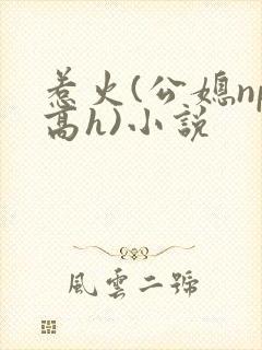 惹火(公媳np高h)小说