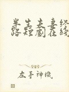 半生夫妻终成陌路短剧在线观看封面