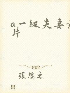a一级夫妻黄色片