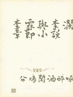 李霖与李澜最新章节小说封面